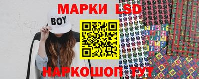 прущие грибы Сланцы