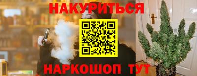 прущие грибы Сланцы