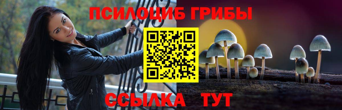 Новозыбков  Псилоцибиновые грибы прущие грибы  Вход с VPN 