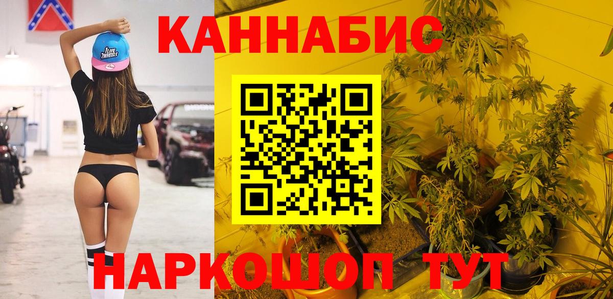 Шишки марихуана ГИДРОПОН Новозыбков